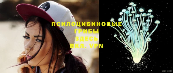 хмурый Верхний Тагил