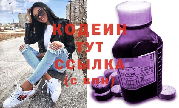 прущий лед Бородино