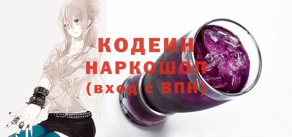 прущий лед Бородино