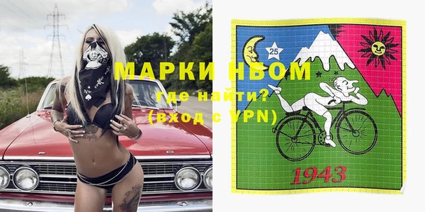 прущий лед Бородино