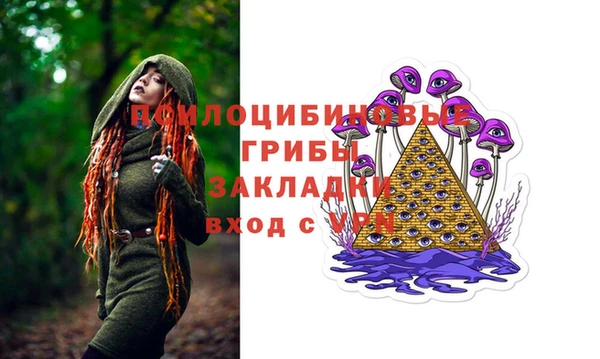 спиды Верея