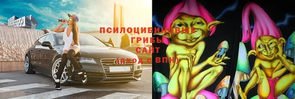 гидра Сясьстрой