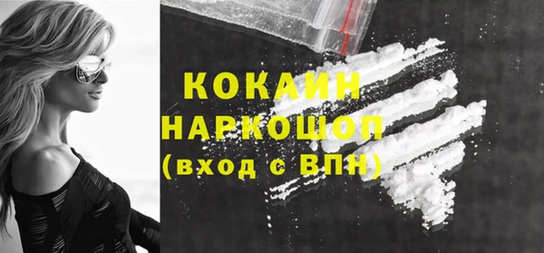 прущий лед Бородино